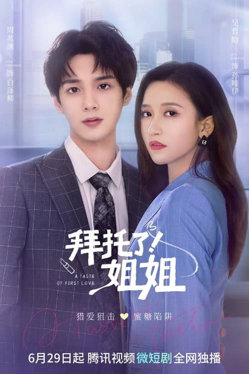 A Taste of First Love Season 1 poster