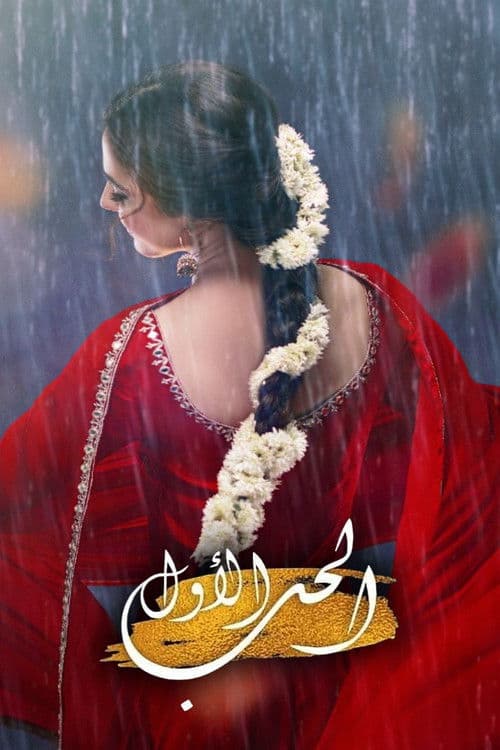 Pehli Si Muhabbat Season 1 poster