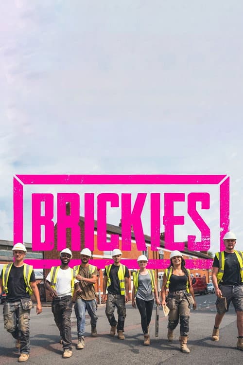 Brickies Series 1 poster