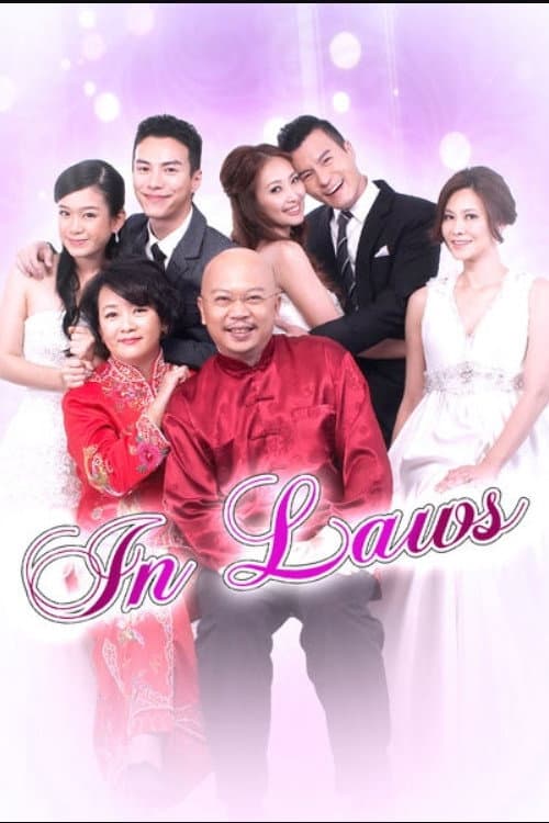 In laws Season 1 poster