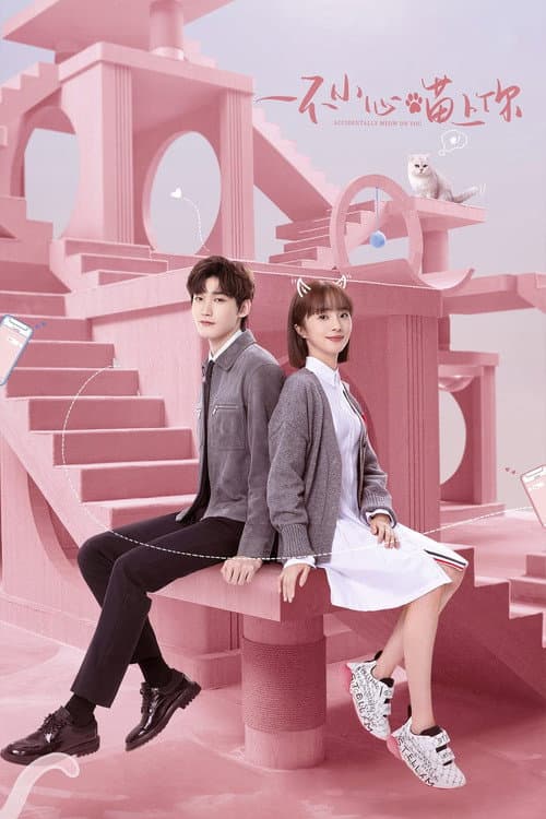 Accidentally Meow on You Season 1 poster