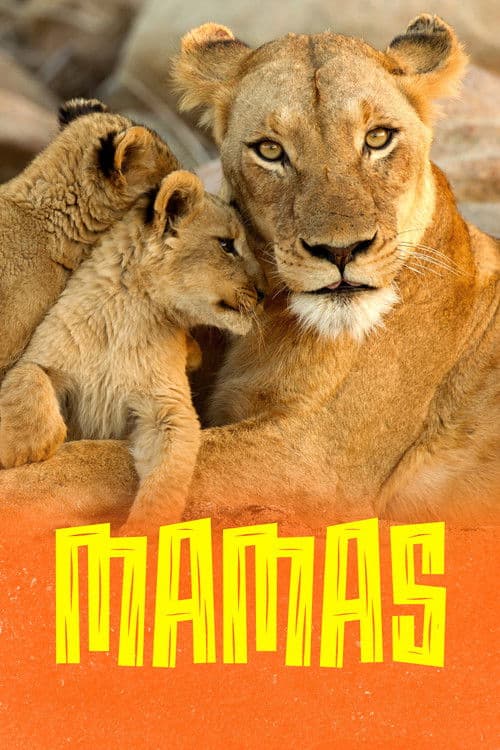 Mamas Season 2 poster
