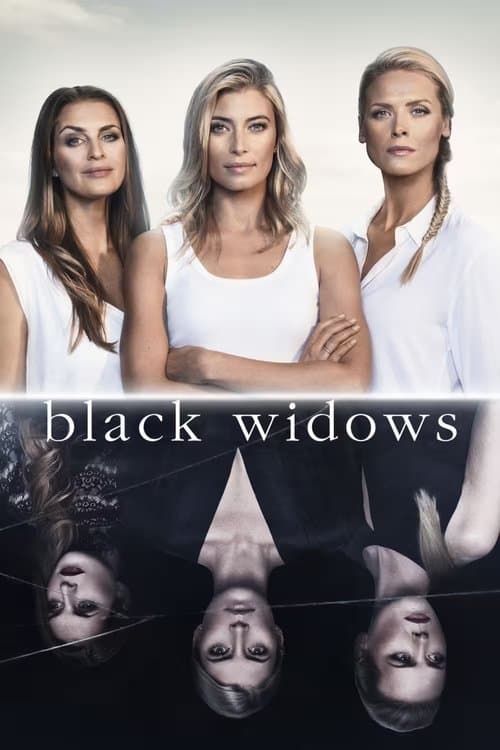 Black Widows Season 2 poster