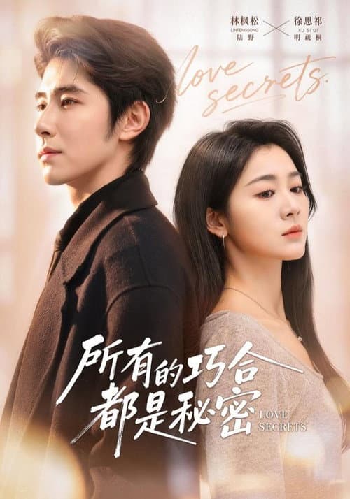 所有的巧合都是秘密 Season 1 poster