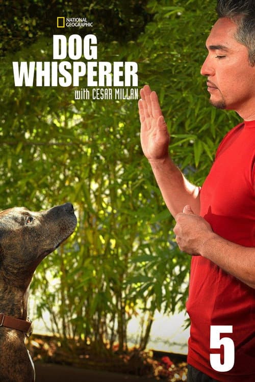 Dog Whisperer Season 5 poster