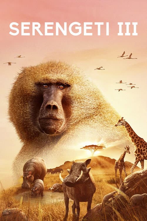 Serengeti Season 3 poster