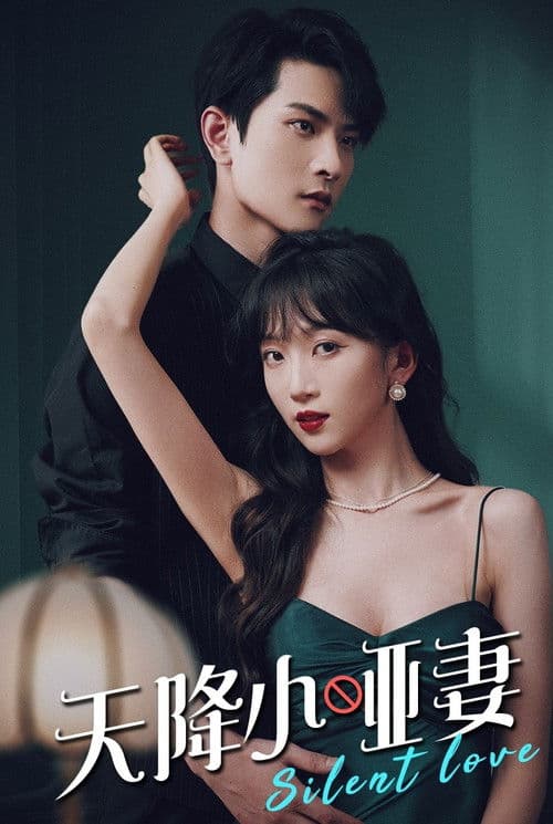 The Silent Wife Sent from Heaven Season 1 poster