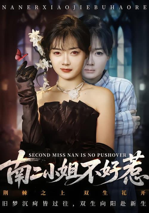 南二小姐不好惹 Season 1 poster