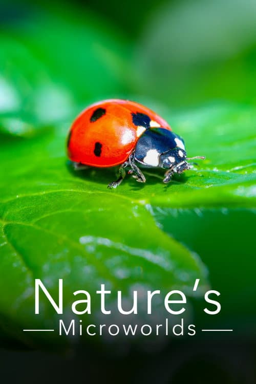 Nature's Microworlds Season 1 poster
