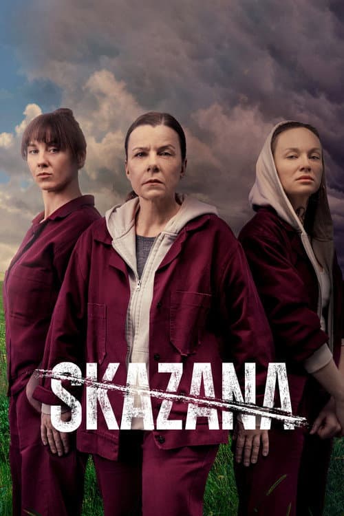 The Convict Season 4 poster