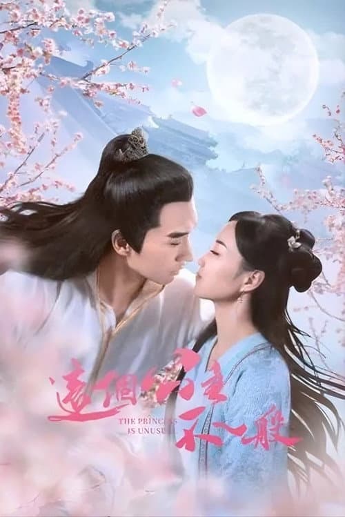 The Princess Is Extraordinary Season 1 poster