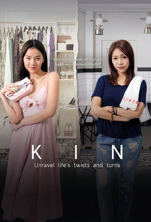 Kin Season 1 poster