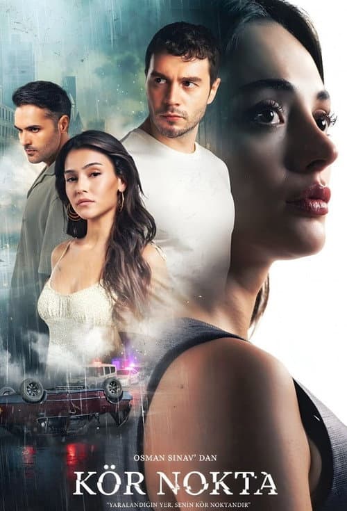 Blind Spot Season 1 poster