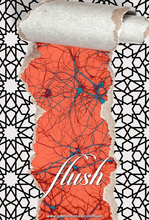 Flush Season 1 poster