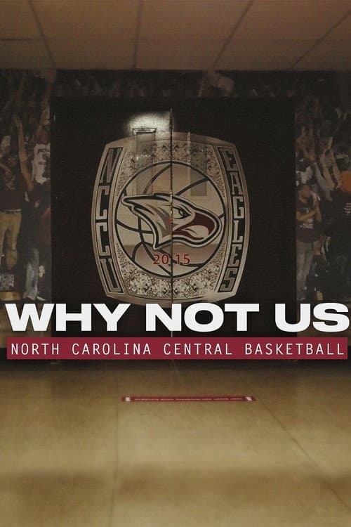 Why Not Us FAMU Football poster