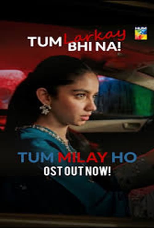 Tum Milay Ho Season 1 poster
