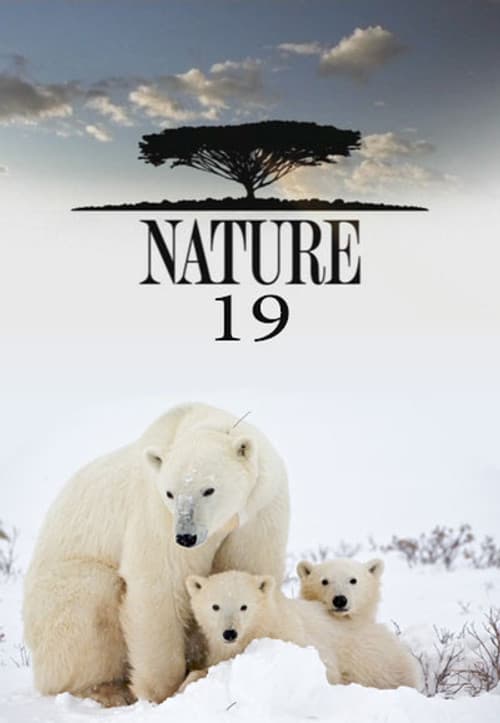 Nature Season 19 poster