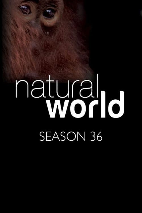 Natural World Season 36 poster