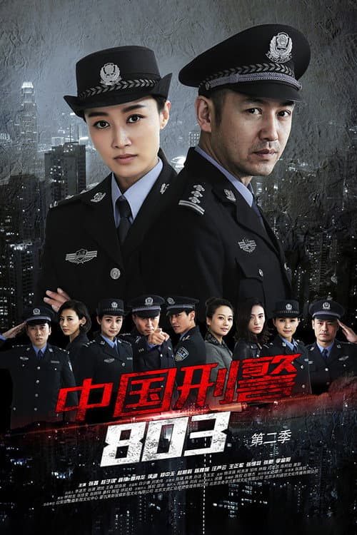 China's Criminal Police 803 Season 2 poster