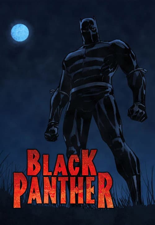 Black Panther Season 1 poster