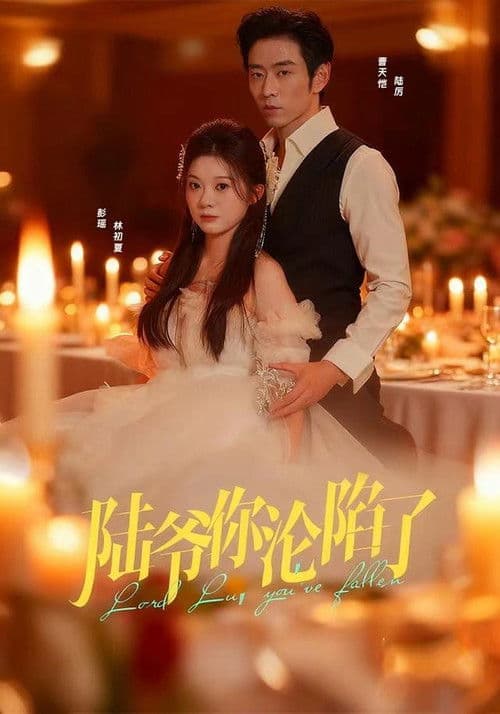 Falling for Mr. Lu Season 1 poster