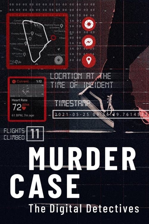Murder Case: The Digital Detectives Series 1 poster