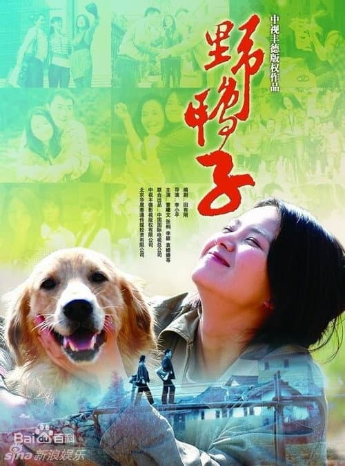 野鸭子 Season 1 poster