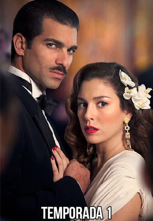 Lo que escondían sus ojos Miniseries poster