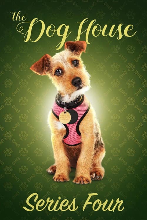 The Dog House Season 4 poster