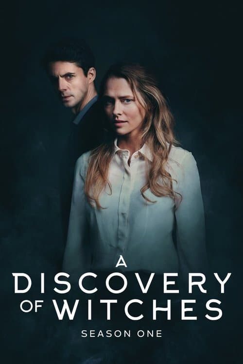 A Discovery of Witches Season 1 poster