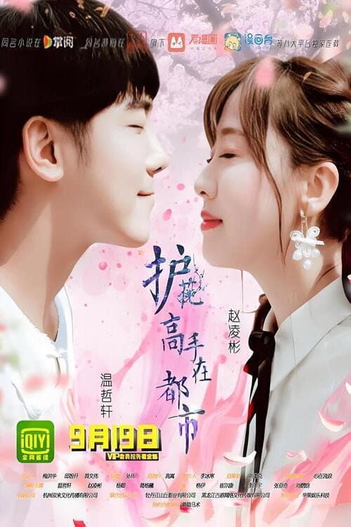 护花高手在都市 Season 15 poster