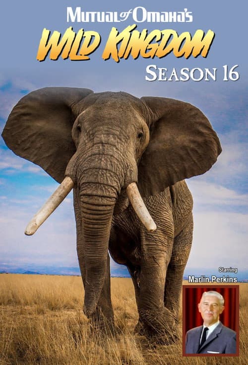 Mutual of Omaha's Wild Kingdom Season 16 poster