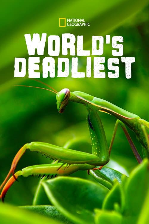World's Deadliest Season 3 poster