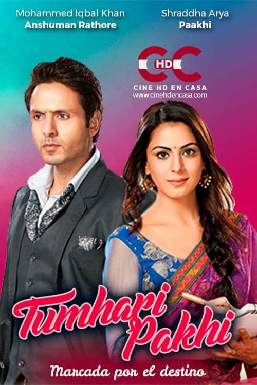 Tumhari Pakhi Season 1 poster