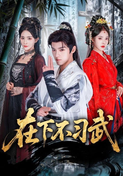 在下不习武 Season 1 poster