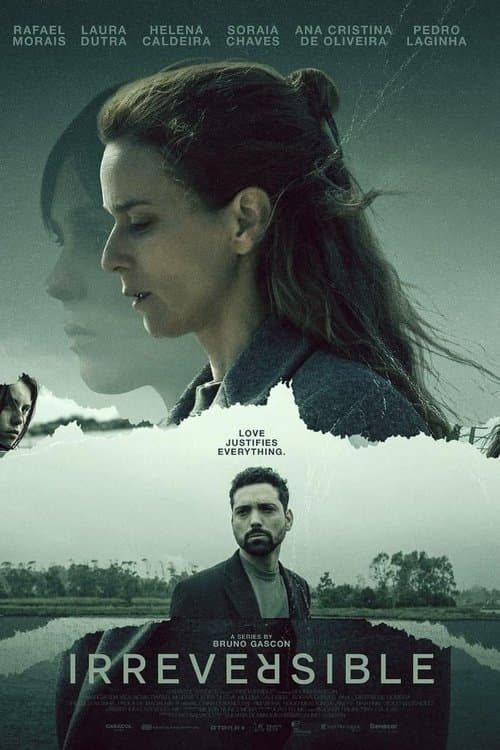 Irreversible Season 1 poster