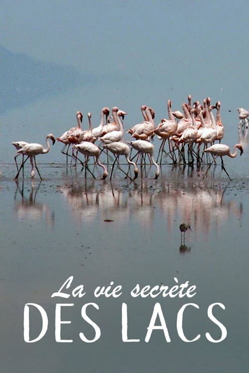 Secret Life of Lakes Season 1 poster