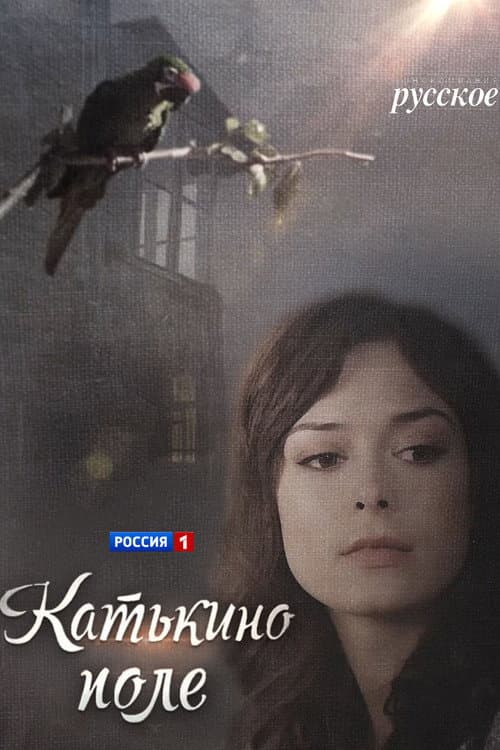 Kate's Field Miniseries poster