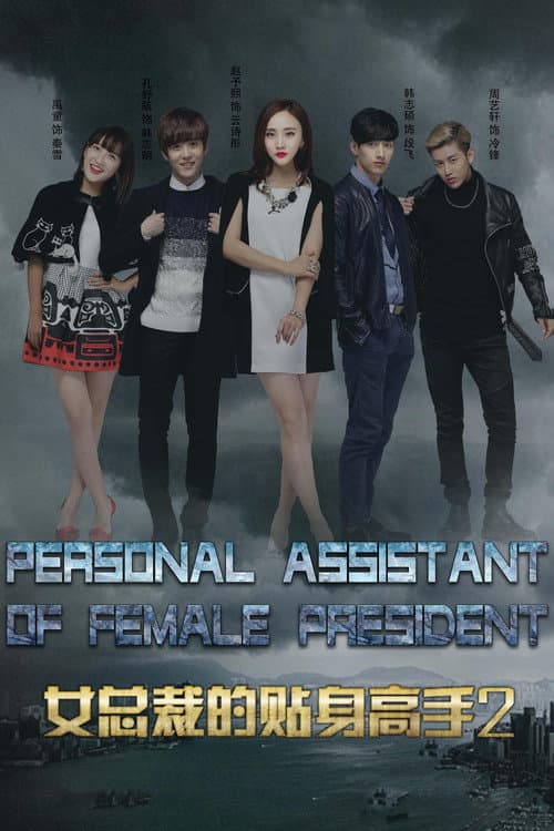 Female CEO's Bodyguard Season 2 poster