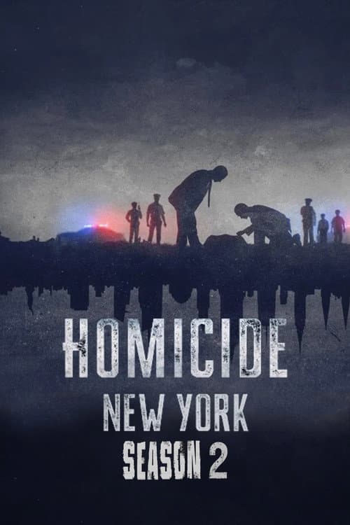 Homicide New York: Season 2 poster