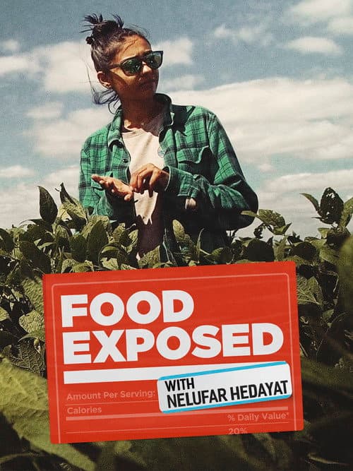 Food Exposed with Nelufar Hedayat Season 1 poster