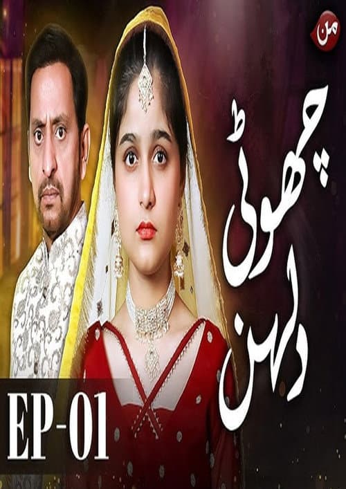 Choti Dulhan Season 1 poster