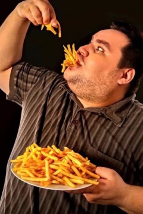 Why Are We Getting So Fat? Season 1 poster