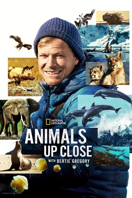 Animals Up Close with Bertie Gregory Season 1 poster