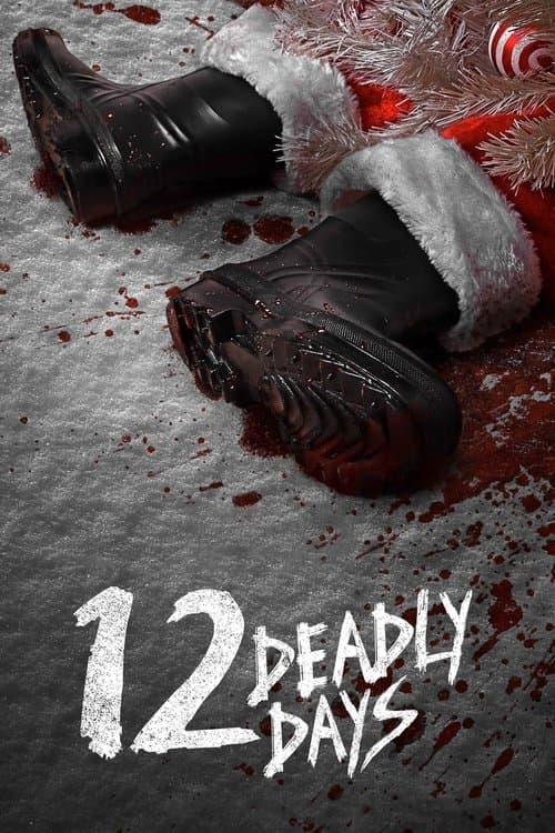 12 Deadly Days Season 1 poster