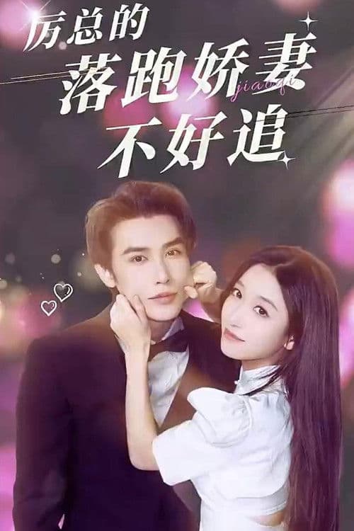 Li Yan's Wife Is Not Easy to Chase Season 1 poster