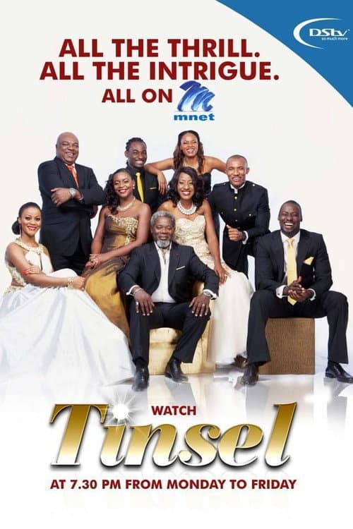 Tinsel Season 2 poster