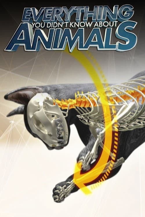 Everything You Didn't Know About Animals Season 1 poster