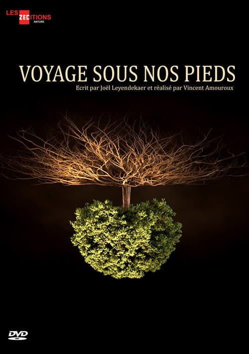 Voyage sous nos pieds Season 1 poster