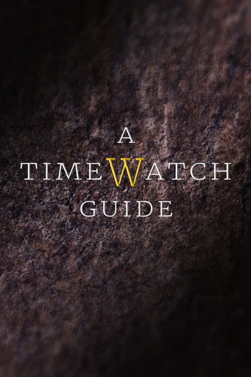 A Timewatch Guide Season 2 poster